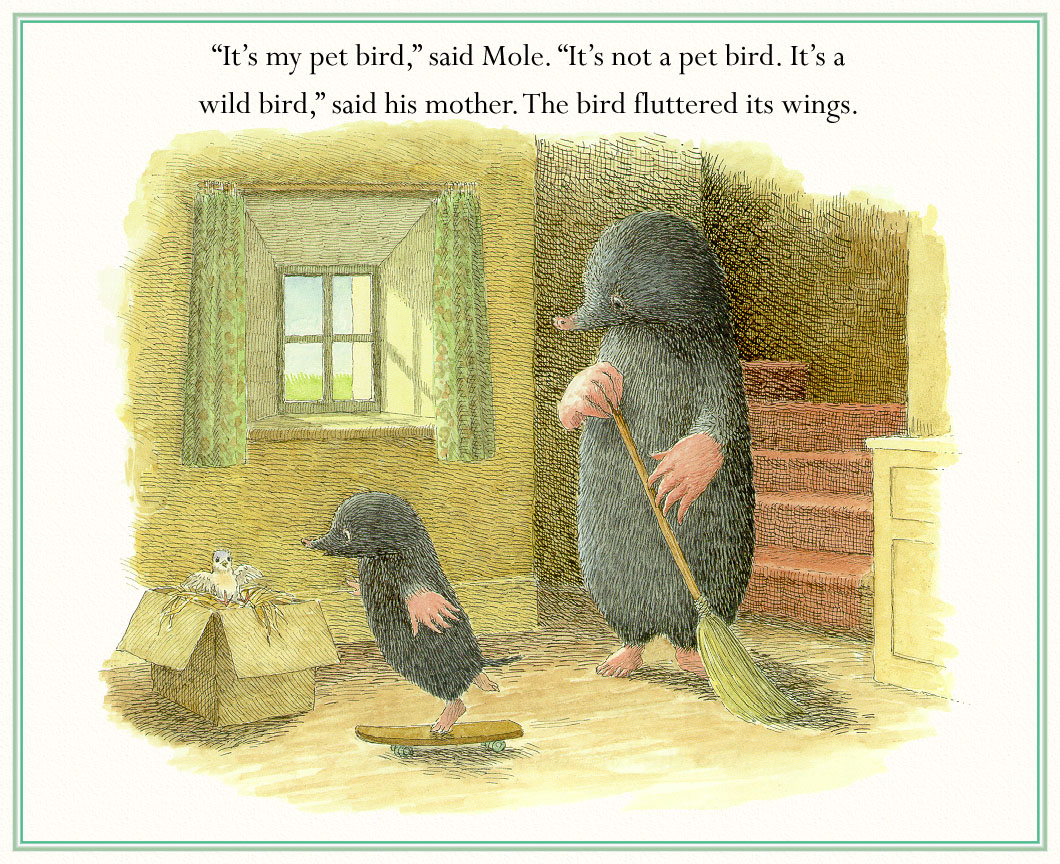 moleandthebabybird (08),绘本,绘本故事,绘本阅读,故事书,童书,图画书,课外阅读